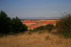 madriguera_elmuyo_05