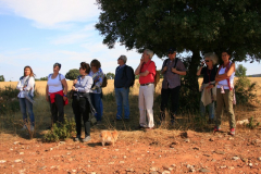 madriguera_elmuyo_06