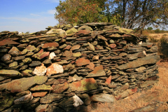 madriguera_elmuyo_08