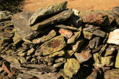 madriguera_elmuyo_10