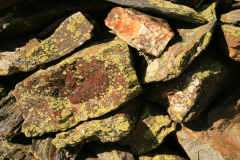 madriguera_elmuyo_11