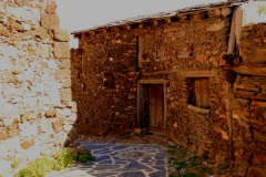 madriguera_elmuyo_19