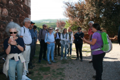 madriguera_elmuyo_29