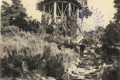 bazar_brun_103