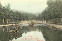 bazar_brun_016_color