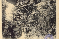 coleccion_lacoste_13