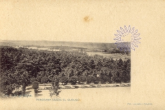 coleccion_lacoste_16