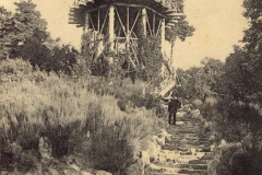 coleccion_lacoste_22