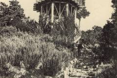 coleccion_lacoste_22b