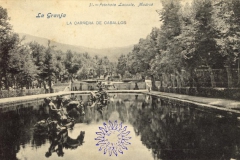 coleccion_lacoste_31