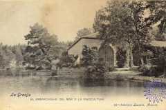 coleccion_lacoste_34