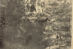 coleccion_lacoste_36