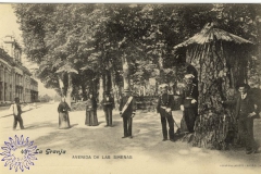 coleccion_lacoste_45