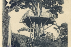 coleccion_laurent_24