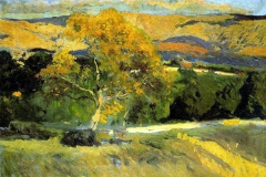 sorolla_arbol_la_granja