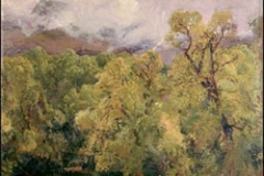 sorolla_arboles_en_los_jardines